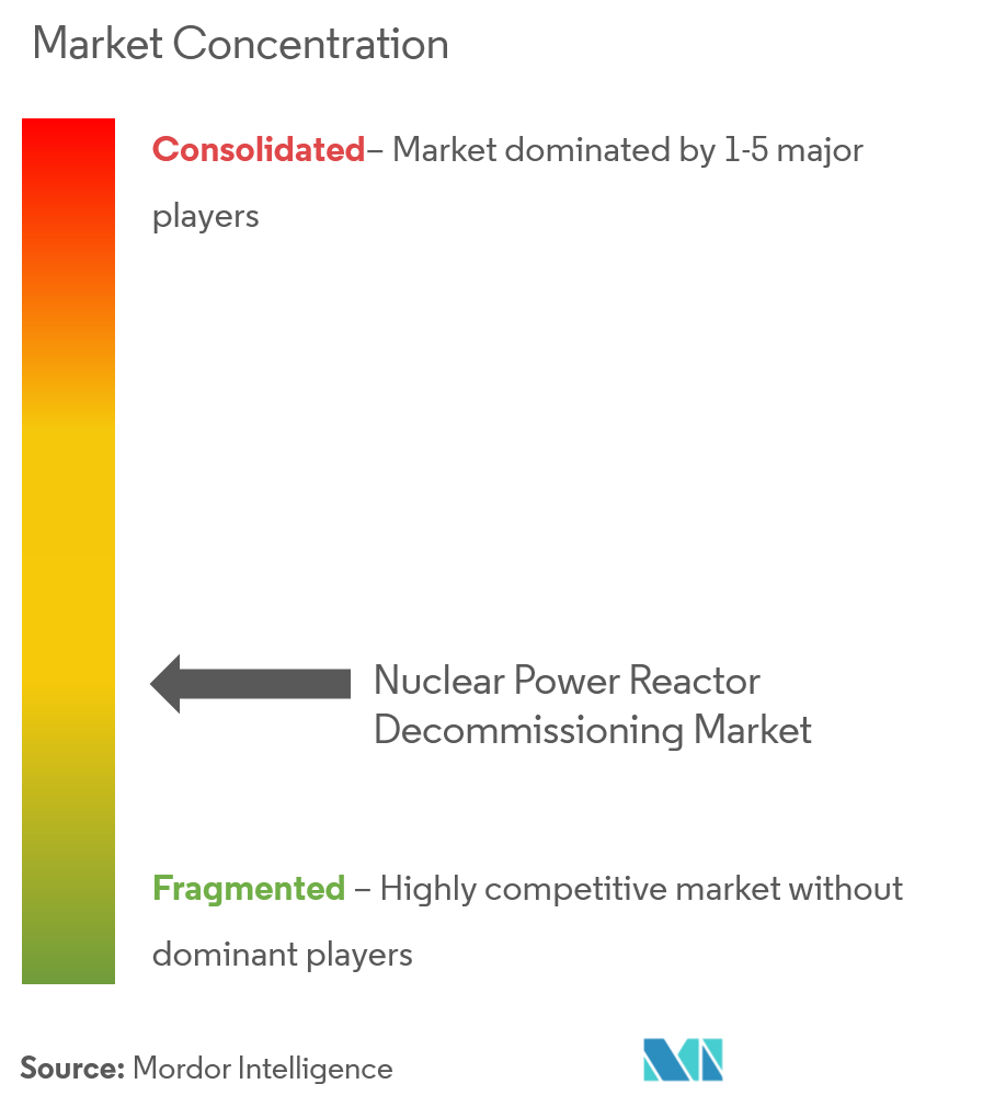 Nuclear Power Reactor Decommissioning Market Concentration